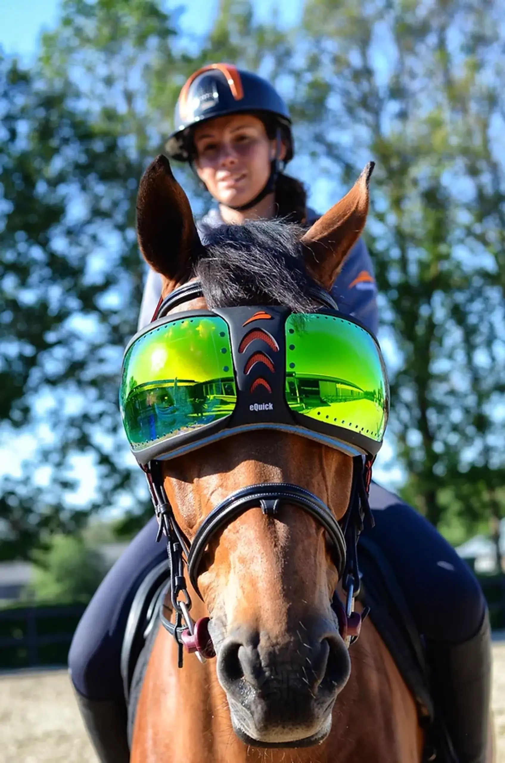 Protective Gear & Apparel